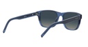 HUGO (HUG) Sunglasses HG 1161/S(SUNGLASS COLOR CODE: PJP,SUNGLASS BOX SIZE (MM): 56.0)