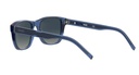 HUGO (HUG) Sunglasses HG 1161/S(SUNGLASS COLOR CODE: PJP,SUNGLASS BOX SIZE (MM): 56.0)