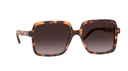 HUGO (HUG) Sunglasses HG 1135/S(SUNGLASS COLOR CODE: 05L,SUNGLASS BOX SIZE (MM): 56.0)