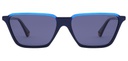 POLAROID (PLD) Sunglasses PLD 6126/S(SUNGLASS COLOR CODE: PJP,SUNGLASS BOX SIZE (MM): 56.0)