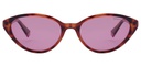 POLAROID (PLD) Sunglasses PLD 6109/S(SUNGLASS COLOR CODE: 0T4,SUNGLASS BOX SIZE (MM): 53.0)