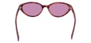 POLAROID (PLD) Sunglasses PLD 6109/S(SUNGLASS COLOR CODE: 0T4,SUNGLASS BOX SIZE (MM): 53.0)