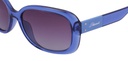 POLAROID (PLD) Sunglasses PLD 4069/G/S/X(SUNGLASS COLOR CODE: PJP,SUNGLASS BOX SIZE (MM): 59.0)