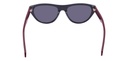 POLAROID (PLD) (PLD) SUNGLASSES PLD 6087/S/X(SUNGLASS COLOR CODE: FSF,SUNGLASS BOX SIZE (MM): 55.0)