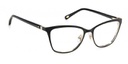 FOSSIL  FRAME FOS 7096 BLCK GOLD 54-16 I46