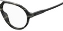 CARRERA FRAME 228 GREY HORN 53-17 2W8