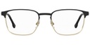 CARRERA FRAME 253 BLK GOLD 53-19 2M2