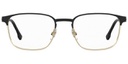 CARRERA FRAME 253 BLK GOLD 53-19 2M2