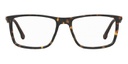 CARRERA FRAME 8862 HVN 55-17 086