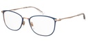 LEVIS (LEV) Frame LV 5009(FRAME COLOR CODE: PJP,FRAME BOX SIZE (MM): 53.0)