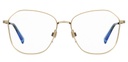 LEVIS (LEV) Frame LV 1013(FRAME COLOR CODE: J5G,FRAME BOX SIZE (MM): 53.0)