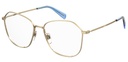 LEVIS (LEV) Frame LV 1013(FRAME COLOR CODE: J5G,FRAME BOX SIZE (MM): 53.0)