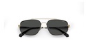 POLAROID (PLD) Sunglasses PLD 2112/S(SUNGLASS COLOR CODE: 2M2,SUNGLASS BOX SIZE (MM): 58.0)