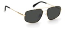 POLAROID (PLD) Sunglasses PLD 2112/S(SUNGLASS COLOR CODE: 2M2,SUNGLASS BOX SIZE (MM): 58.0)