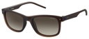 POLAROID (PLD) Sunglasses PLD 2038/S