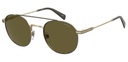 LEVIS (LEV) Sunglasses LV 1013/S