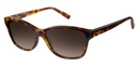 PIERRE CARDIN (PCA) (PCA) SUNGLASSES P.C. 8452/S