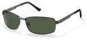 POLAROID (PLD) Sunglasses P4416