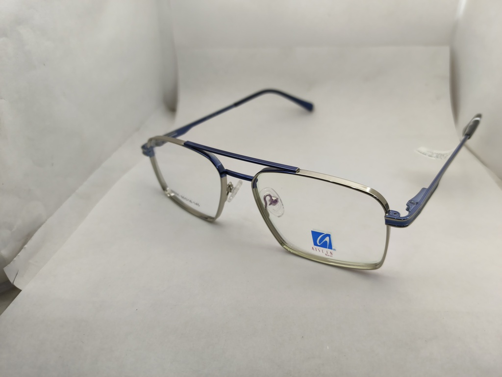 AISLIN (AISLIN) FRAME ASN (AISLIN)-FRAME 88005