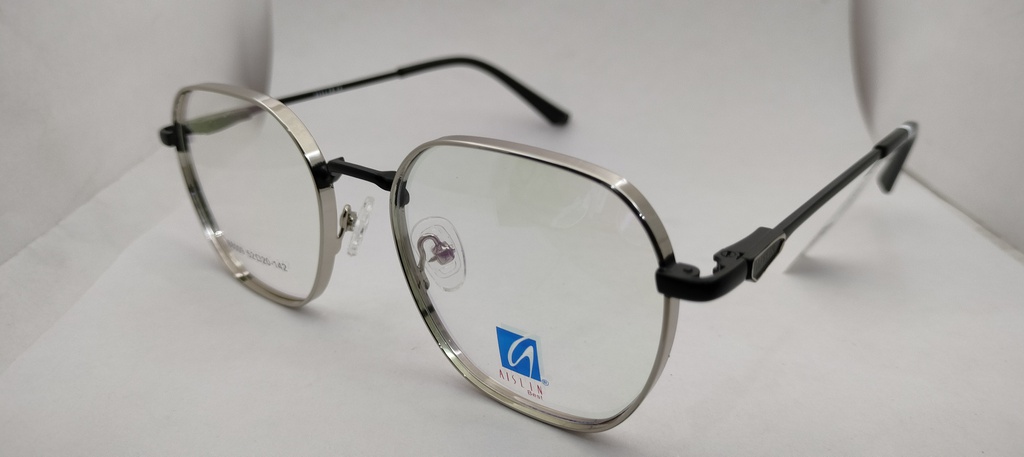 AISLIN (AISLIN) FRAME ASN (AISLIN)-FRAME 88009